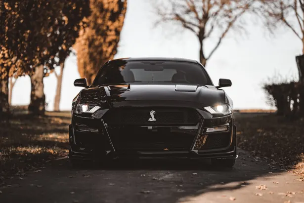 Casino Golden Palace Android/iOS aplikacija